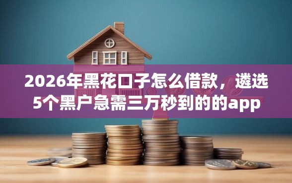 2026年黑花口子怎么借款，遴选5个黑户急需三万秒到的的app