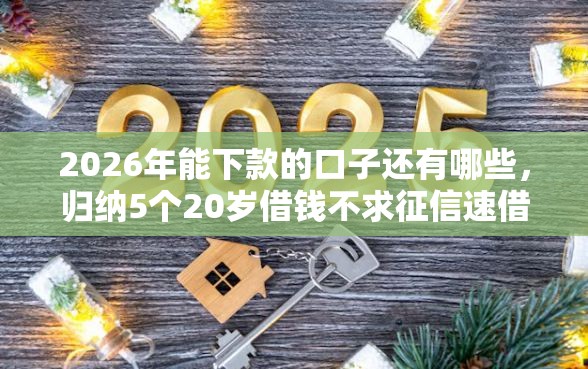 2026年能下款的口子还有哪些，归纳5个20岁借钱不求征信速借软件