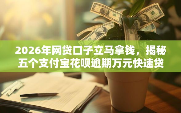 2026年网贷口子立马拿钱，揭秘五个支付宝花呗逾期万元快速贷款平台