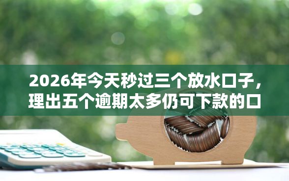 2026年今天秒过三个放水口子，理出五个逾期太多仍可下款的口子