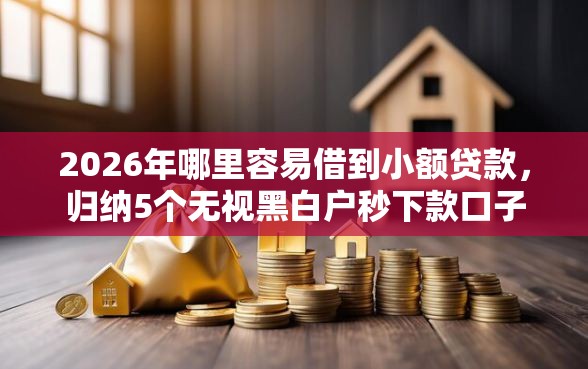 2026年哪里容易借到小额贷款，归纳5个无视黑白户秒下款口子平台