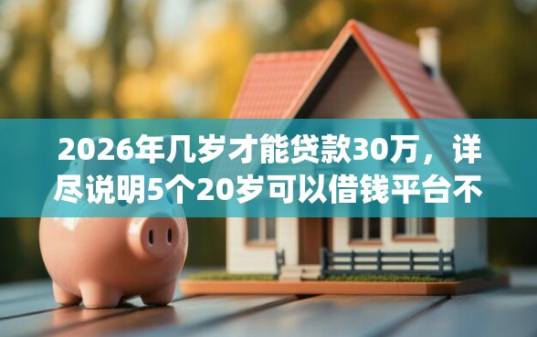 2026年几岁才能贷款30万，详尽说明5个20岁可以借钱平台不查征信的app