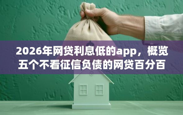 2026年网贷利息低的app，概览五个不看征信负债的网贷百分百下款app