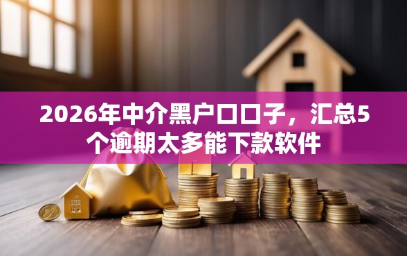 2026年中介黑户口口子，汇总5个逾期太多能下款软件