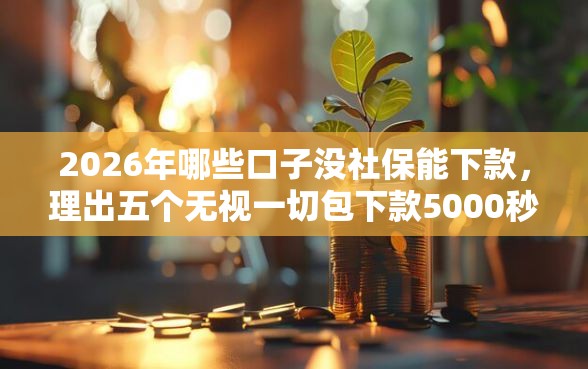2026年哪些口子没社保能下款，理出五个无视一切包下款5000秒下款的口子