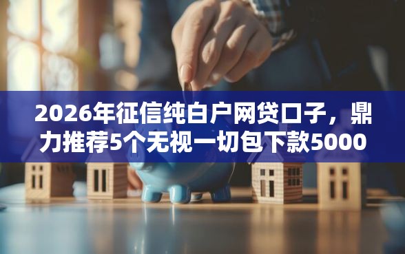 2026年征信纯白户网贷口子，鼎力推荐5个无视一切包下款5000秒下款的平台