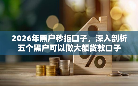 2026年黑户秒拒口子，深入剖析五个黑户可以做大额贷款口子
