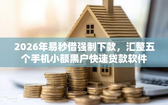 2026年易秒借强制下款，汇整五个手机小额黑户快速贷款软件