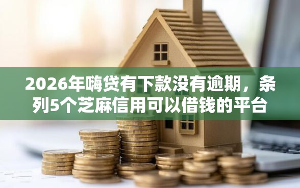 2026年嗨贷有下款没有逾期，条列5个芝麻信用可以借钱的平台