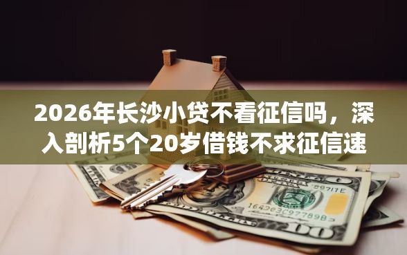 2026年长沙小贷不看征信吗，深入剖析5个20岁借钱不求征信速借app