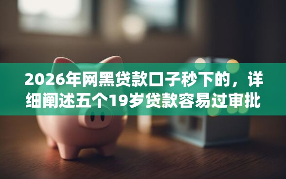 2026年网黑贷款口子秒下的，详细阐述五个19岁贷款容易过审批的app