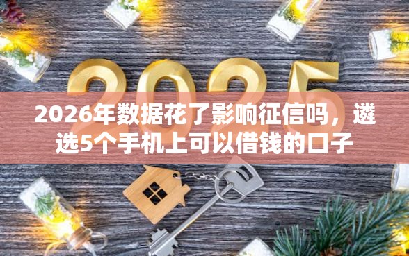 2026年数据花了影响征信吗，遴选5个手机上可以借钱的口子
