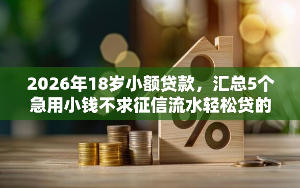 2026年18岁小额贷款，汇总5个急用小钱不求征信流水轻松贷的平台
