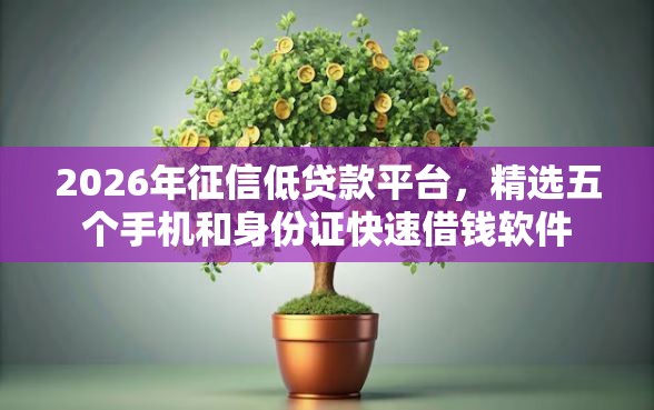 2026年征信低贷款平台，精选五个手机和身份证快速借钱软件