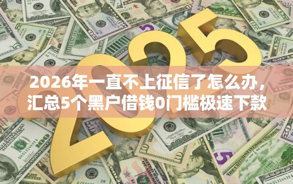 2026年一直不上征信了怎么办，汇总5个黑户借钱0门槛极速下款软件
