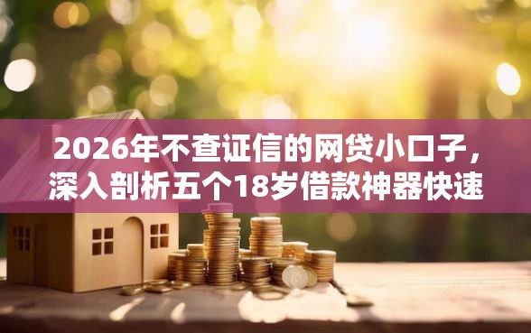 2026年不查证信的网贷小口子，深入剖析五个18岁借款神器快速下款软件