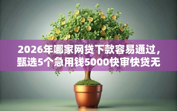 2026年哪家网贷下款容易通过，甄选5个急用钱5000快审快贷无需征信口子