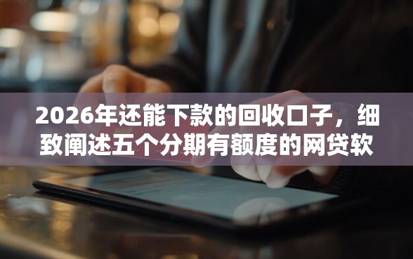 2026年还能下款的回收口子，细致阐述五个分期有额度的网贷软件