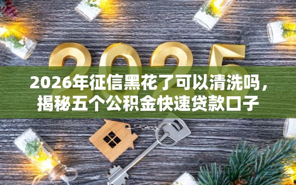 2026年征信黑花了可以清洗吗，揭秘五个公积金快速贷款口子