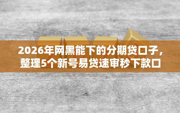 2026年网黑能下的分期贷口子，整理5个新号易贷速审秒下款口子