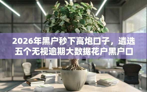 2026年黑户秒下高炮口子,遴选五个无视逾期大数据花户黑户口子 2026年黑户秒下高炮口子,遴选五个无视逾期大数据花户黑户口子