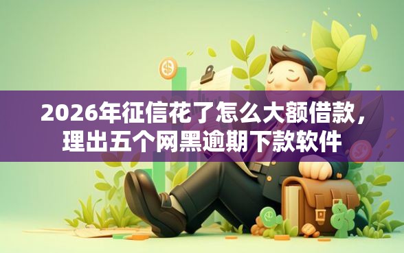 2026年征信花了怎么大额借款，理出五个网黑逾期下款软件