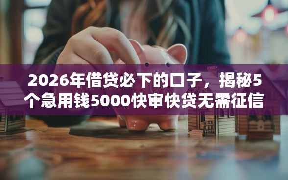 2026年借贷必下的口子，揭秘5个急用钱5000快审快贷无需征信平台