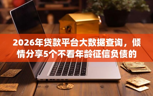 2026年贷款平台大数据查询，倾情分享5个不看年龄征信负债的app