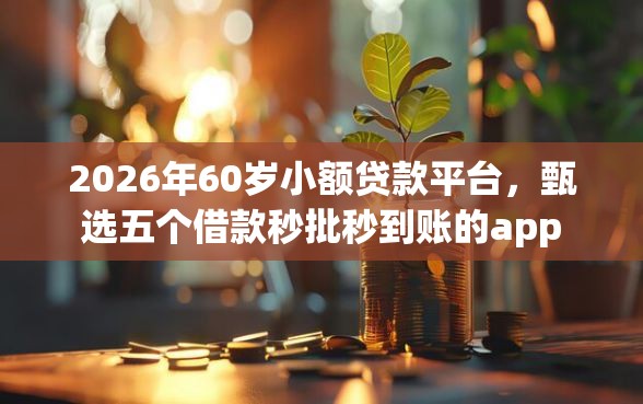 2026年60岁小额贷款平台，甄选五个借款秒批秒到账的app