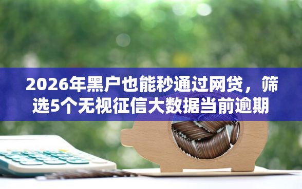 2026年黑户也能秒通过网贷，筛选5个无视征信大数据当前逾期下款的口子