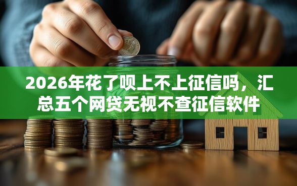 2026年花了呗上不上征信吗，汇总五个网贷无视不查征信软件