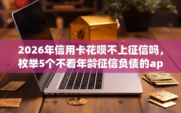 2026年信用卡花呗不上征信吗，枚举5个不看年龄征信负债的app