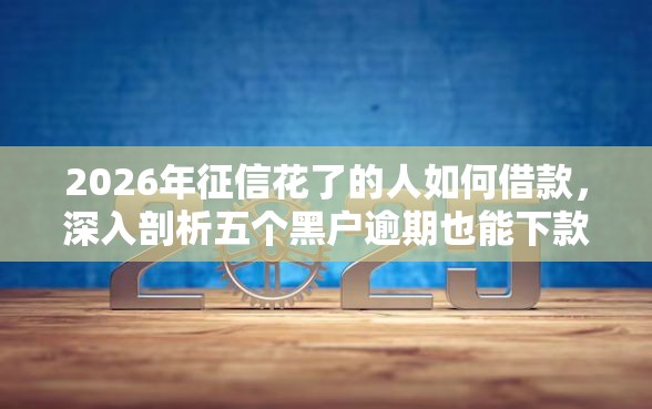 2026年征信花了的人如何借款，深入剖析五个黑户逾期也能下款的网贷