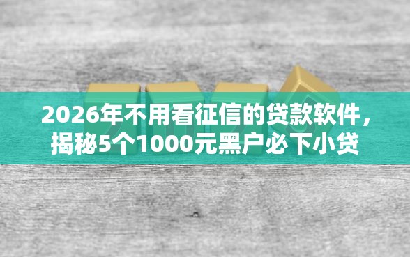 2026年不用看征信的贷款软件，揭秘5个1000元黑户必下小贷