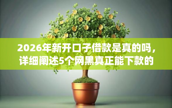 2026年新开口子借款是真的吗，详细阐述5个网黑真正能下款的app