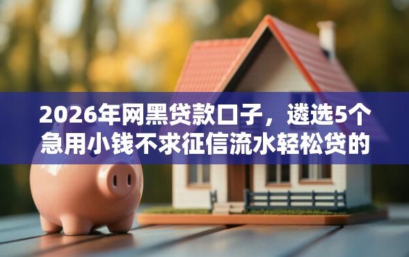 2026年网黑贷款口子，遴选5个急用小钱不求征信流水轻松贷的软件