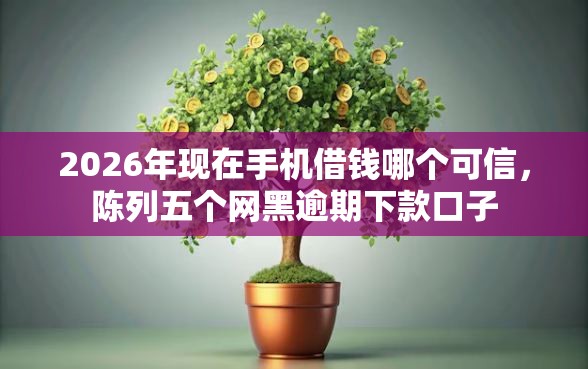 2026年现在手机借钱哪个可信，陈列五个网黑逾期下款口子