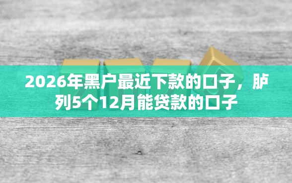 2026年黑户最近下款的口子，胪列5个12月能贷款的口子