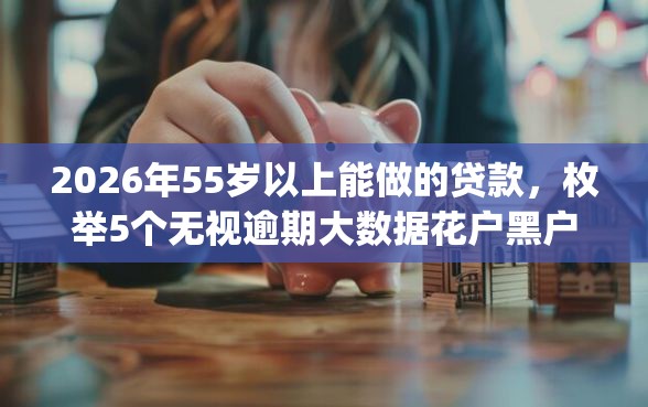 2026年55岁以上能做的贷款，枚举5个无视逾期大数据花户黑户app