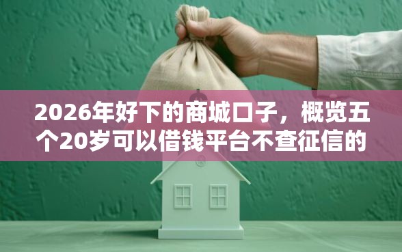 2026年好下的商城口子，概览五个20岁可以借钱平台不查征信的平台