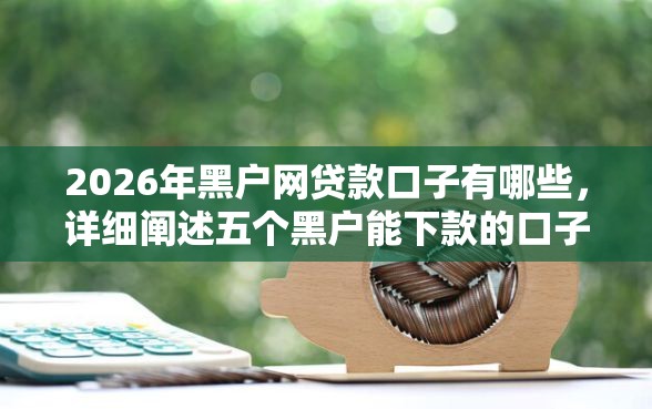 2026年黑户网贷款口子有哪些，详细阐述五个黑户能下款的口子