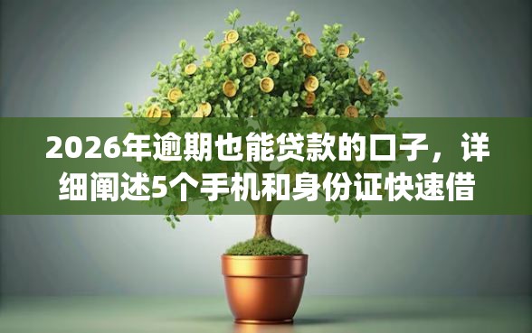 2026年逾期也能贷款的口子，详细阐述5个手机和身份证快速借钱app
