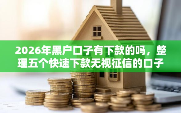 2026年黑户口子有下款的吗，整理五个快速下款无视征信的口子