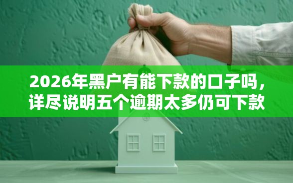 2026年黑户有能下款的口子吗，详尽说明五个逾期太多仍可下款的口子
