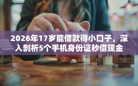 2026年17岁能借款得小口子，深入剖析5个手机身份证秒借现金的平台