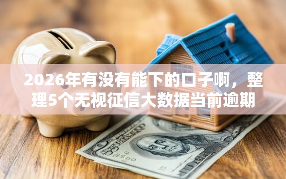 2026年有没有能下的口子啊，整理5个无视征信大数据当前逾期下款的口子