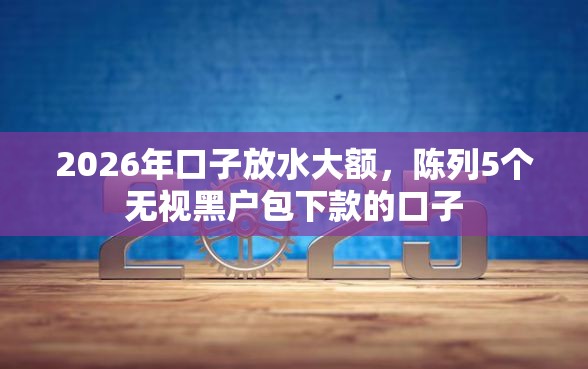 2026年口子放水大额，陈列5个无视黑户包下款的口子
