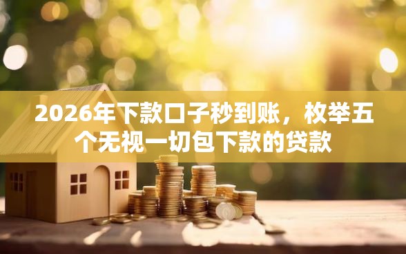 2026年下款口子秒到账，枚举五个无视一切包下款的贷款