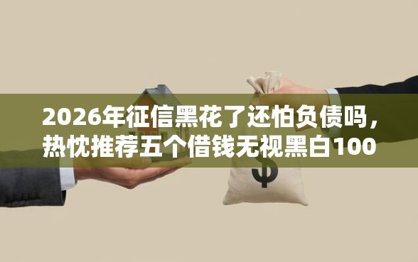 2026年征信黑花了还怕负债吗，热忱推荐五个借钱无视黑白100%秒下口子