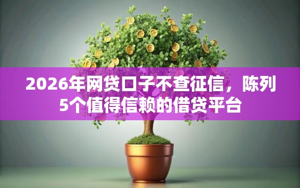 2026年网贷口子不查征信，陈列5个值得信赖的借贷平台